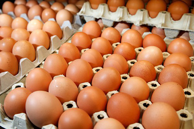 Giá trứng Gà ta, gà công nghiệp bao nhiêu tiền 2022? Mua bán ở đâu rẻ -  GiaHangHoa.org
