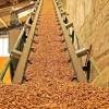 Top 9 các công ty sản xuất, xuất khẩu viên nén gỗ lớn nhất hiện nay 2022